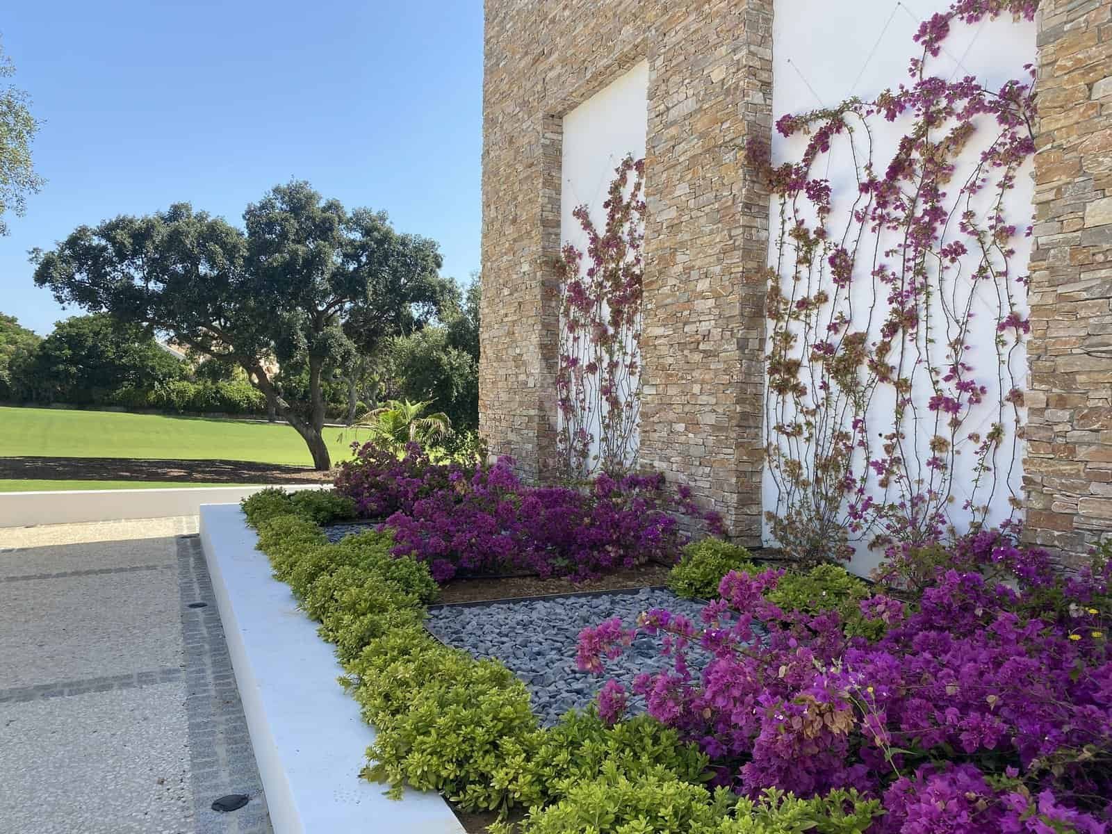 23 San Roque 84 - Verdin Property - Wall Flowers Aug22